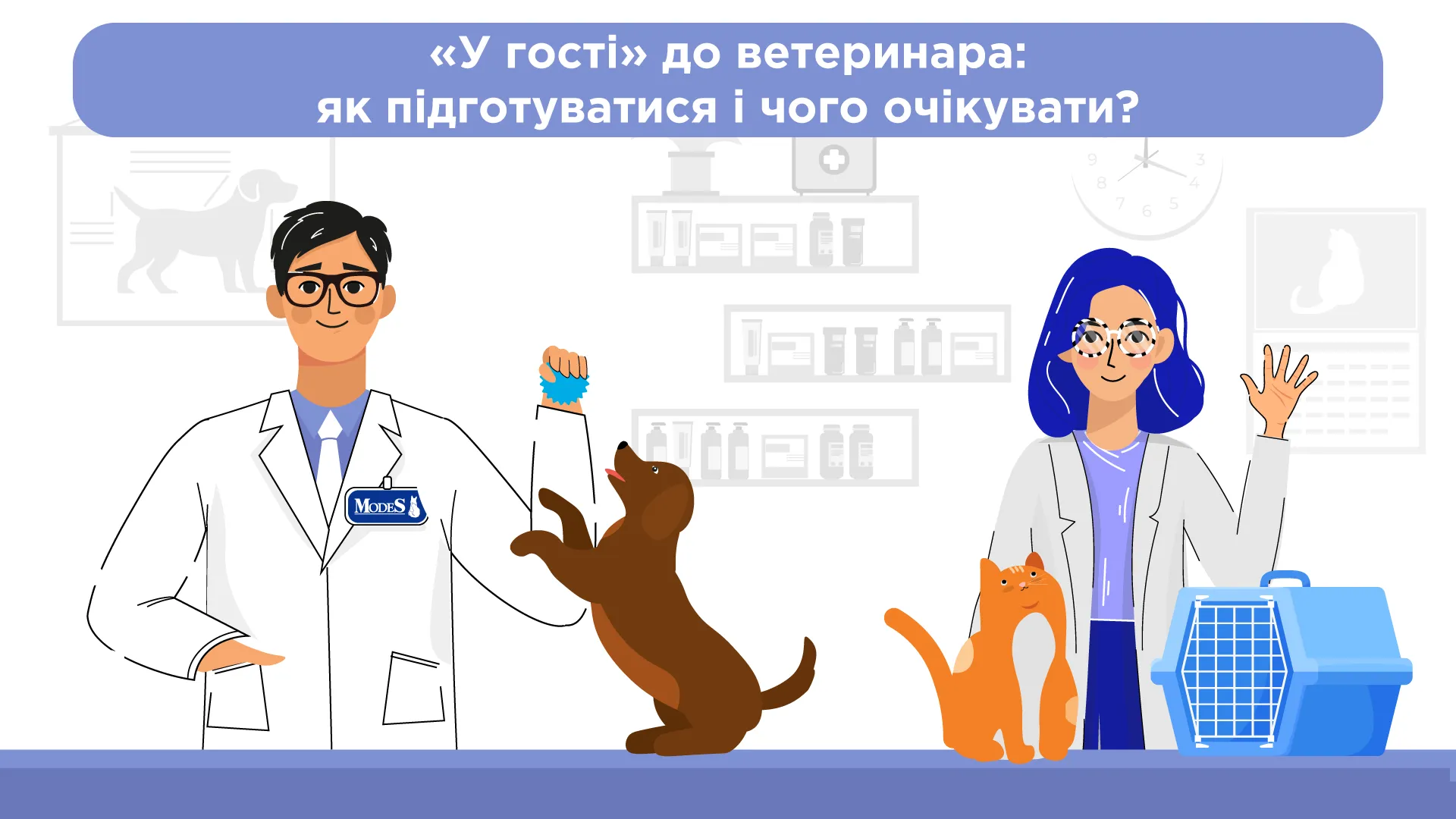 «У гості» до ветеринара: як підготуватися і чого очікувати?