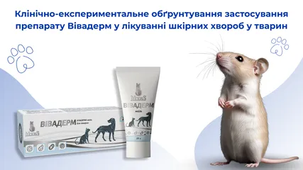 Клінічно-експериментальне обґрунтування застосування препарату Вівадерм у лікуванні шкірних хвороб у тварин