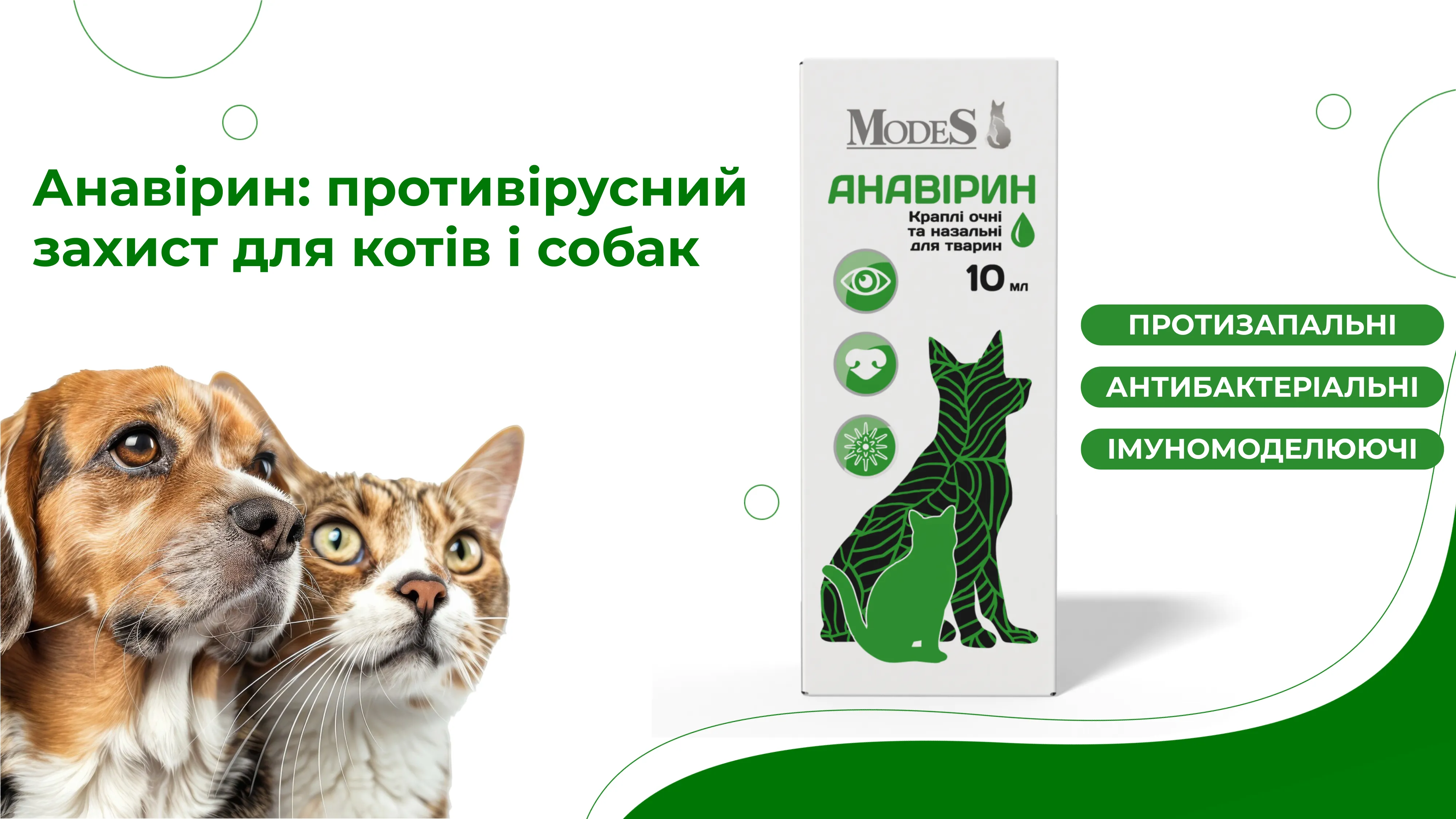 Анавірин: противірусний захист для котів і собак