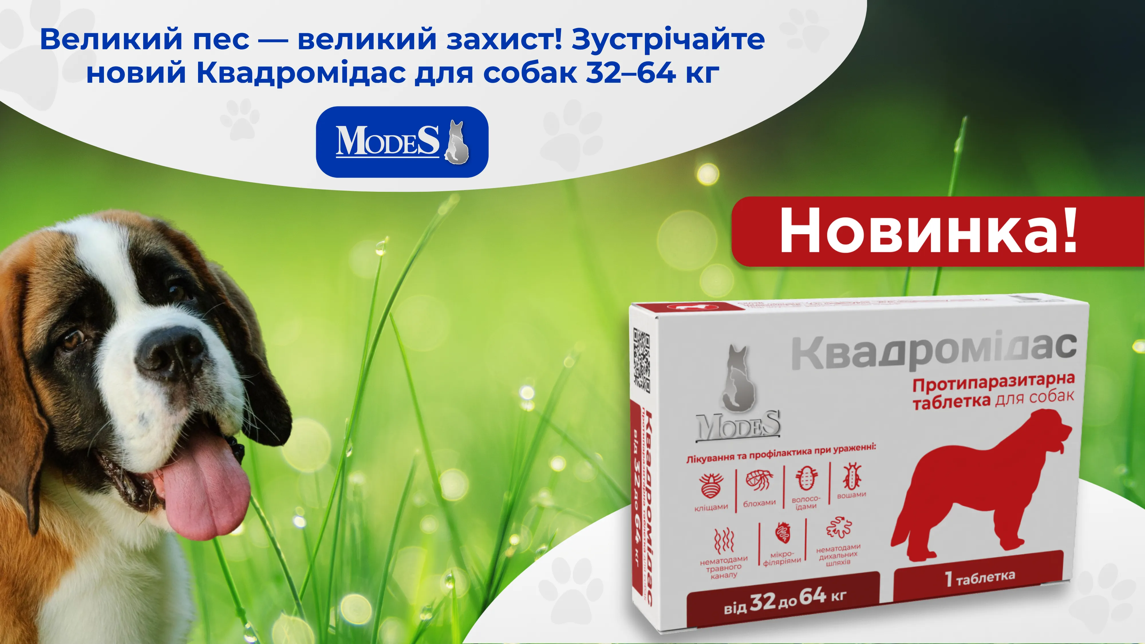 Великий пес — великий захист! Зустрічайте новий Квадромідас для собак 32–64 кг Великий пес — великий захист! Зустрічайте новий Квадромідас для собак 32–64 кг