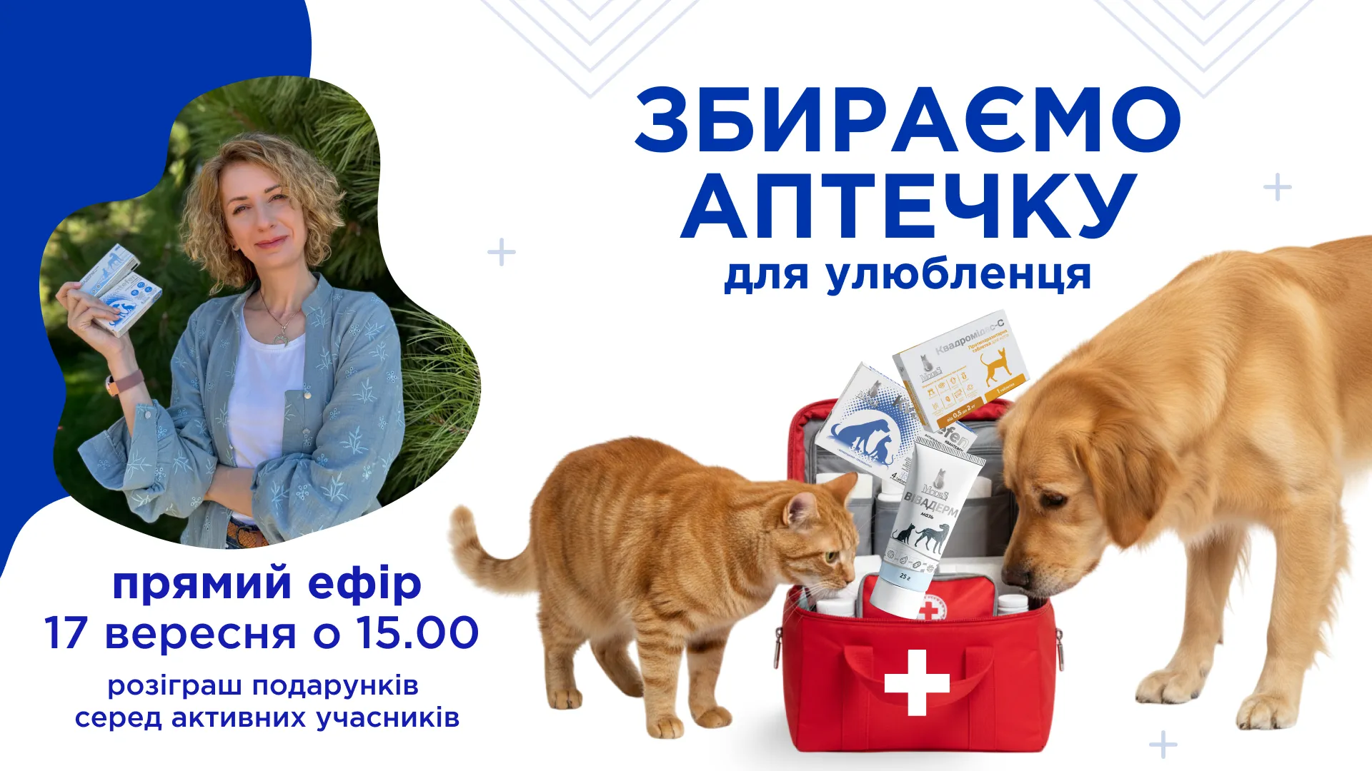 Аптечка для улюбленця: поради ветеринара у прямому ефірі