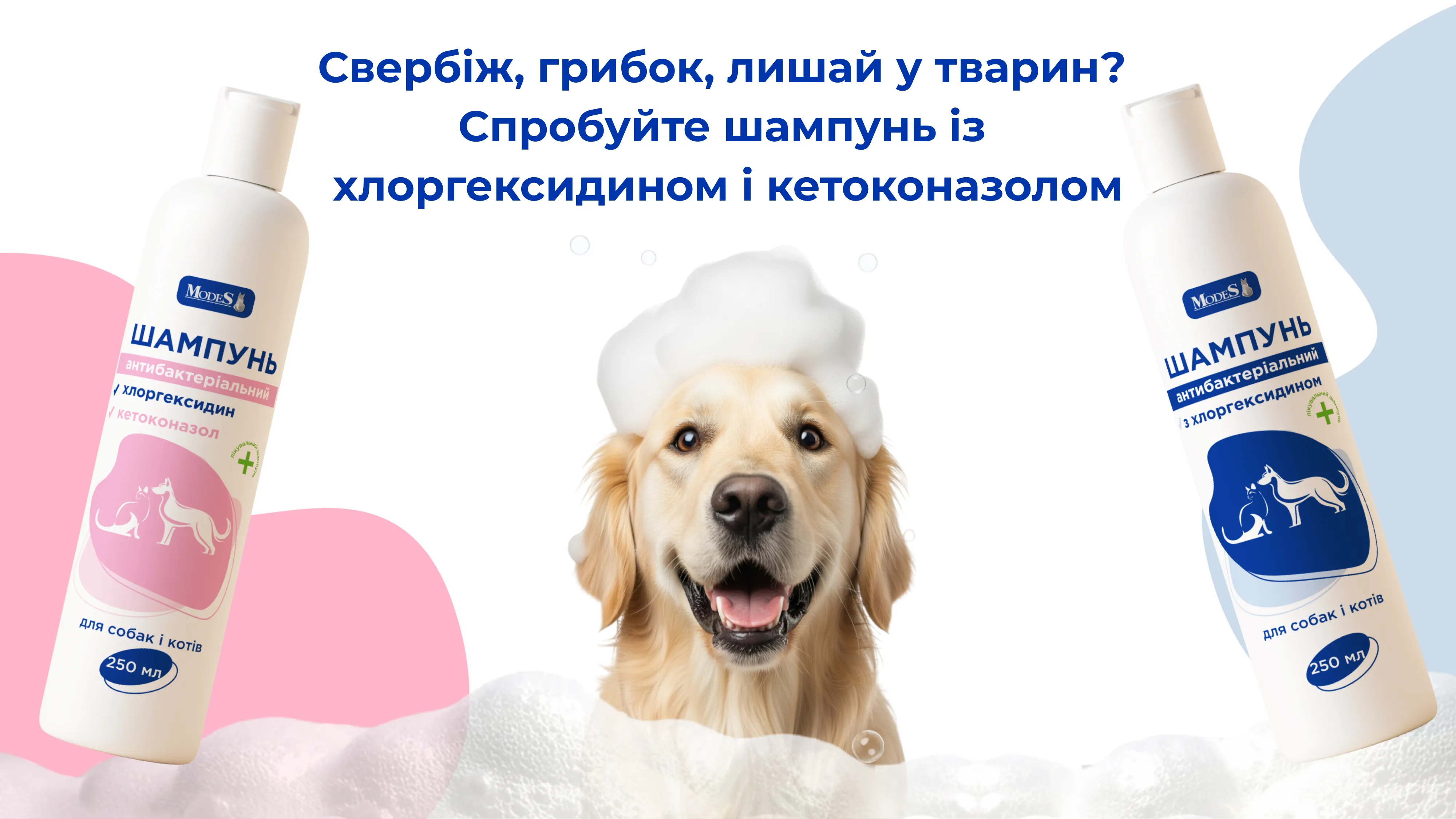 Свербіж, грибок, лишай у тварин? Спробуйте шампунь із хлоргексидином і кетоконазолом