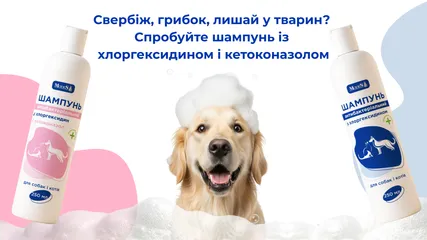 Свербіж, грибок, лишай у тварин? Спробуйте шампунь із хлоргексидином і кетоконазолом
