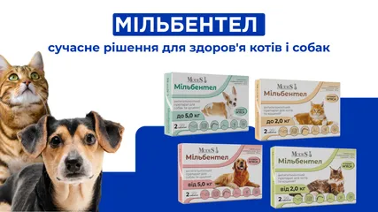 Мільбентел: сучасне рішення для здоров'я котів і собак