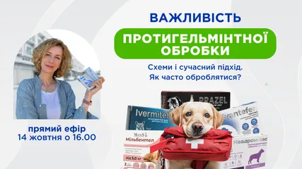 Ефір з ветеринаром: відповіді на головні запитання про протигельмінтну обробку
