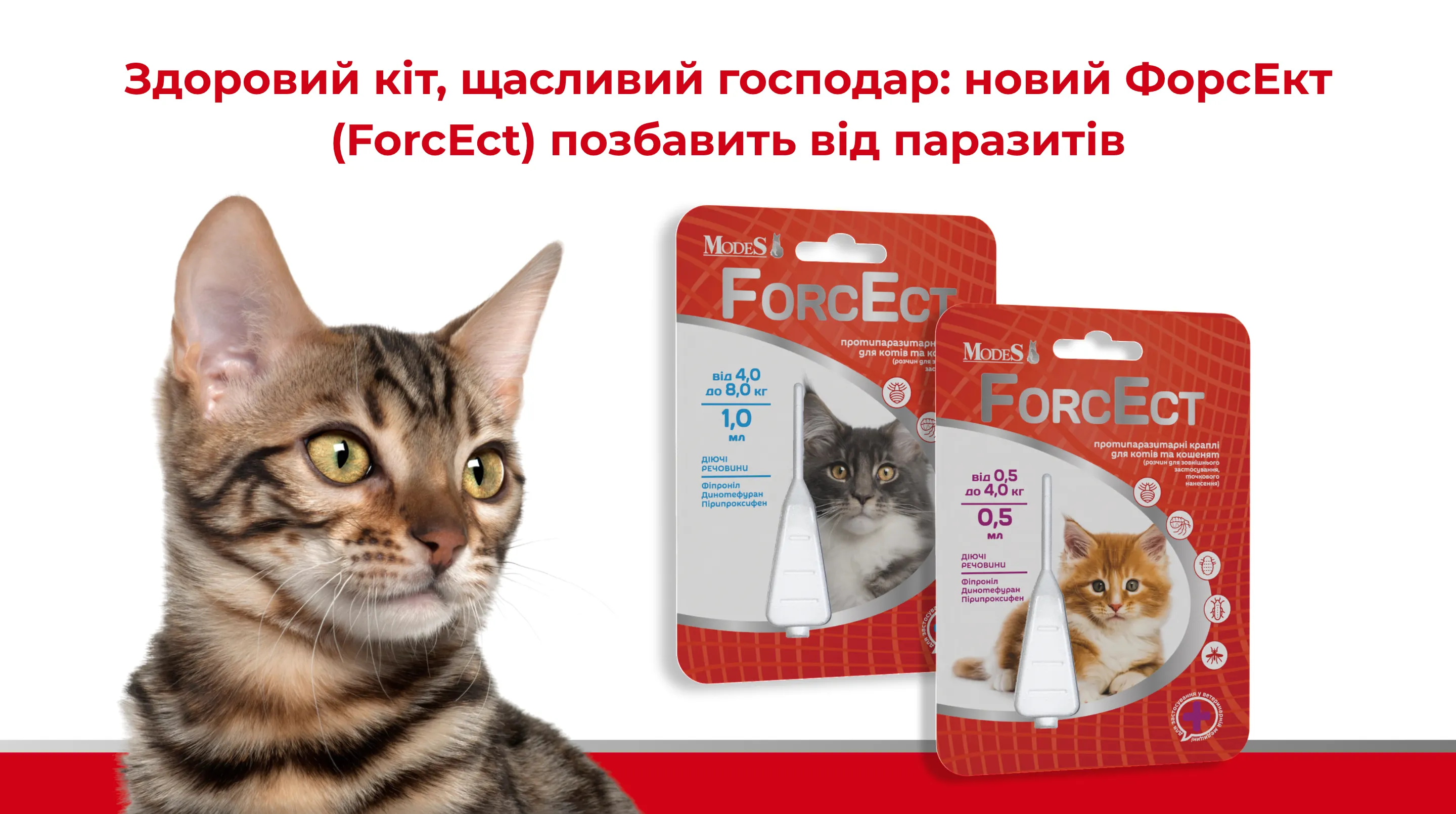 Здоровий кіт, щасливий господар: новий ForcEct позбавить від паразитів