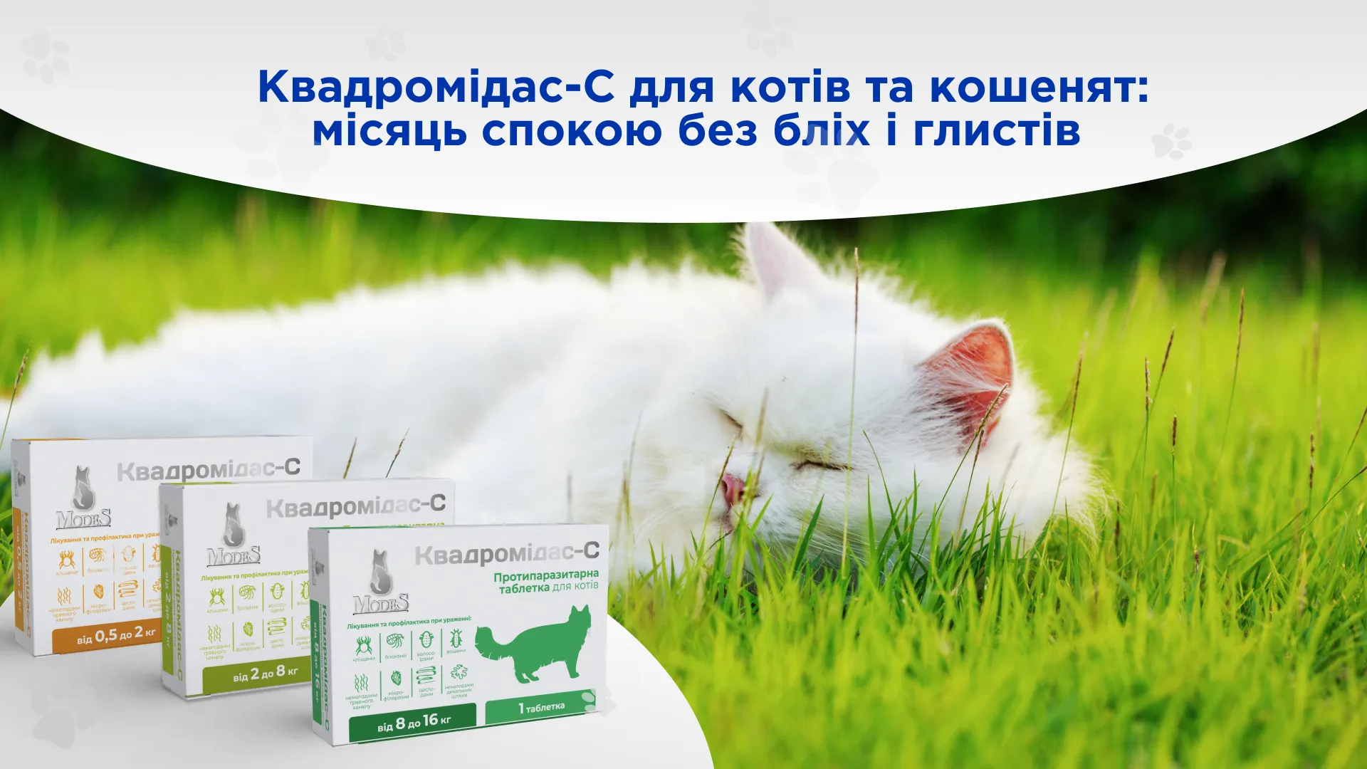 Квадромідас-С протипаразитарні таблетки для котів та кошенят: місяць спокою без бліх і глистів 