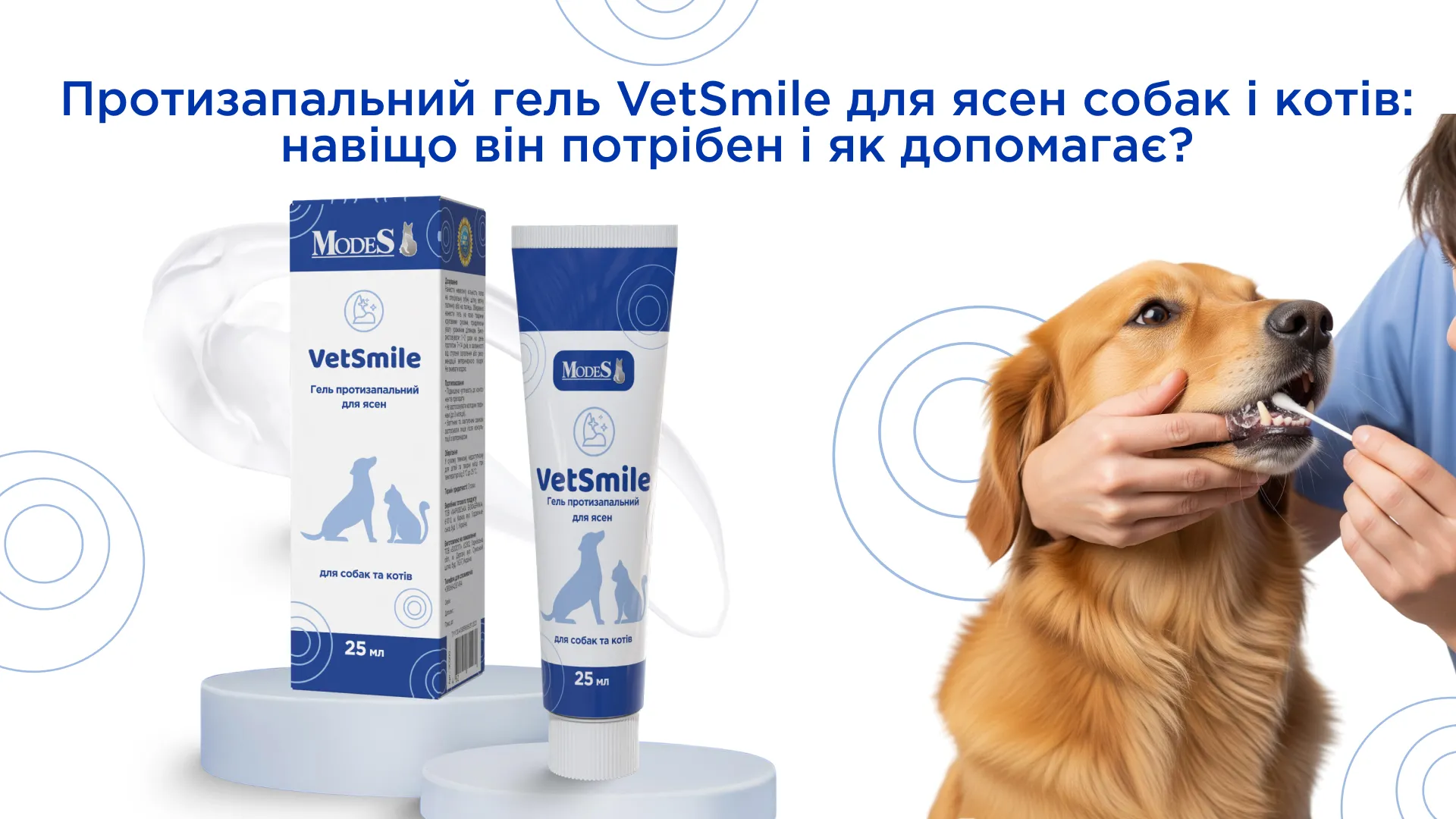 Протизапальний гель VetSmile для ясен собак і котів: навіщо він потрібен і як допомагає?