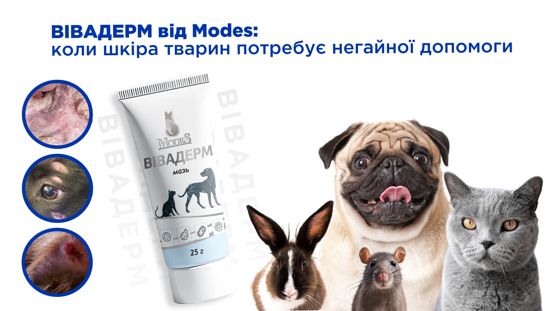Вівадерм від Modes: коли шкіра тварин потребує негайної допомоги Вівадерм від Modes: коли шкіра тварин потребує негайної допомоги