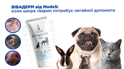 Вівадерм від ModeS: коли шкіра тварин потребує негайної допомоги