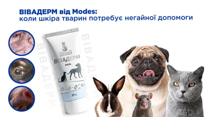 Вівадерм від Modes: коли шкіра тварин потребує негайної допомоги