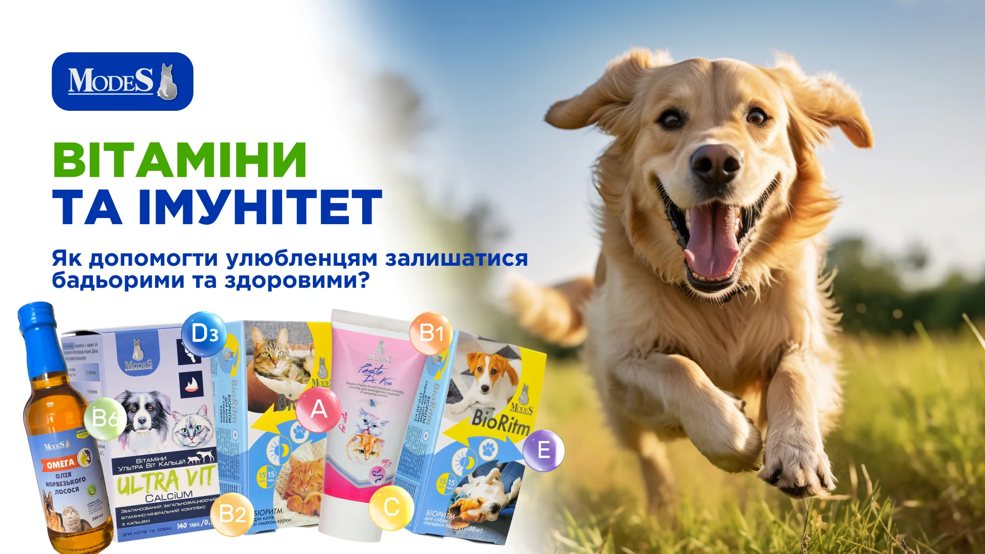 Вітаміни та імунітет: як допомогти улюбленцям залишатися бадьорими та здоровими Вітаміни та імунітет: як допомогти улюбленцям залишатися бадьорими та здоровими