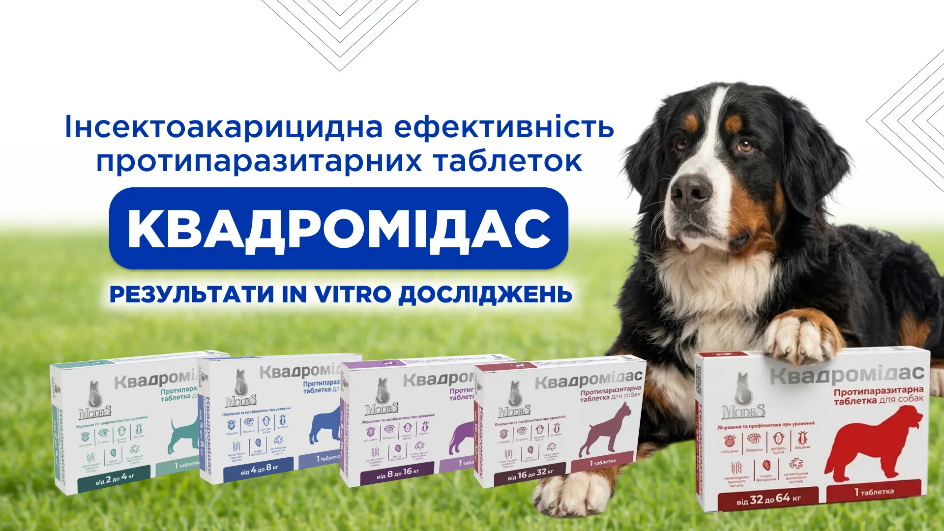 Інсектоакарицидна ефективність протипаразитарних таблеток Квадромідас: результати in vitro досліджень Інсектоакарицидна ефективність протипаразитарних таблеток Квадромідас: результати in vitro досліджень