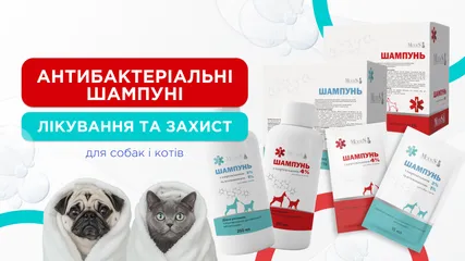 Антибактеріальні шампуні Modes для собак і котів: лікування та захист