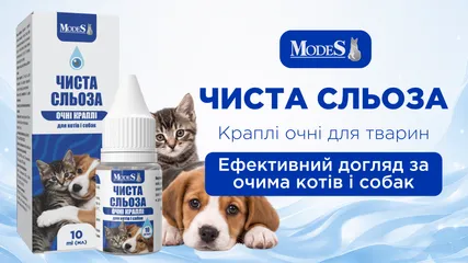 Очні краплі від ModeS “ЧИСТА СЛЬОЗА”: ефективний догляд за очима котів і собак Очні краплі від ModeS “ЧИСТА СЛЬОЗА”: ефективний догляд за очима котів і собак