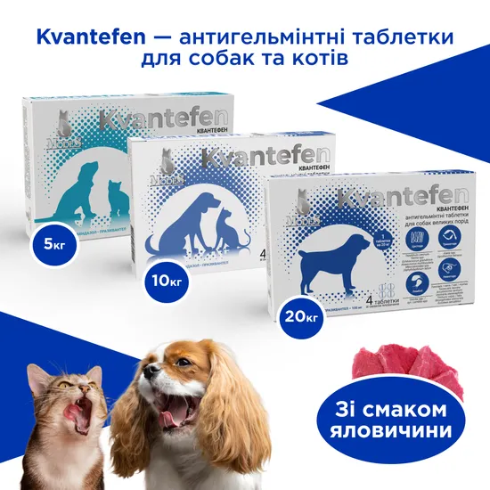 КВАНТЕФЕН (Kvantefen) антигельмінтні таблетки для собак та котів (4 табл.),  MODES (від бліх, кліщів, гельмінтів)