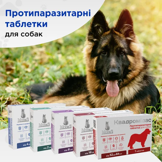 Квадромідас протипаразитарні таблетки для собак 16-32 кг, 1,6 г, MODES (від бліх, кліщів, гельмінтів)