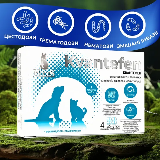 КВАНТЕФЕН (Kvantefen) антигельмінтні таблетки для котів та собак малих порід, 1 таб на 5 кг (4 табл.),  MODES