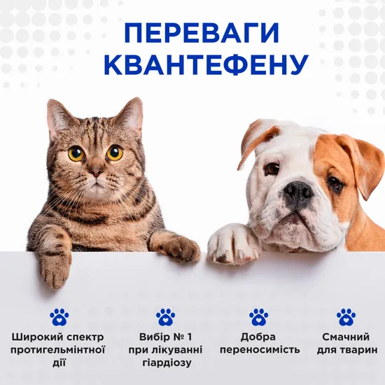 КВАНТЕФЕН (Kvantefen) антигельмінтні таблетки для котів та собак малих порід, 1 таб на 5 кг (4 табл.),  MODES