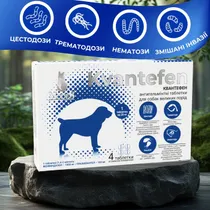 КВАНТЕФЕН (Kvantefen) антигельмінтні таблетки для собак великих порід, 1 таб на 20кг (4 табл.), MODES (від бліх, кліщів, гельмінтів)
