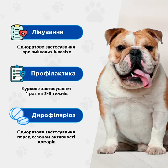 Квадромідас протипаразитарні таблетки для собак 32-64 кг, 3,2 г, MODES (від бліх, кліщів, гельмінтів)