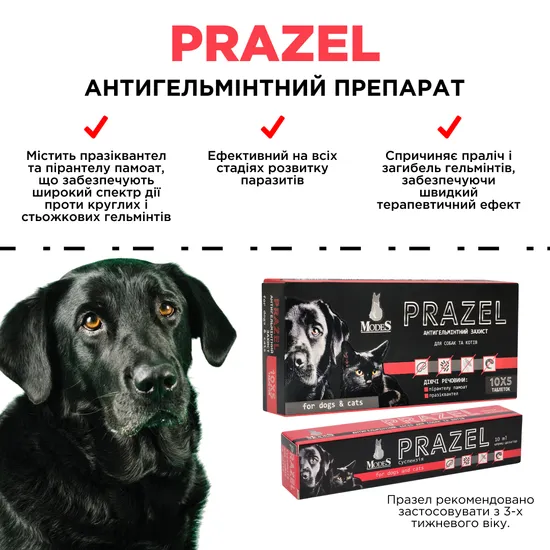 Празел (Prazel) антигельмінтна суспензія для собак і котів 10 мл, MODES
