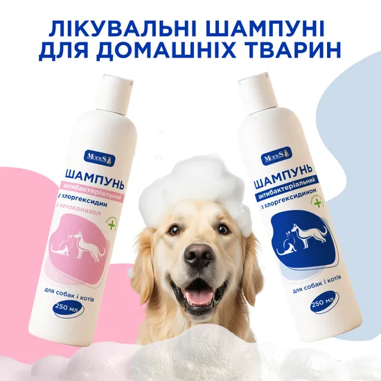 Шампунь антибактеріальний з хлоргексидином для собак і котів, 250 мл, MODES