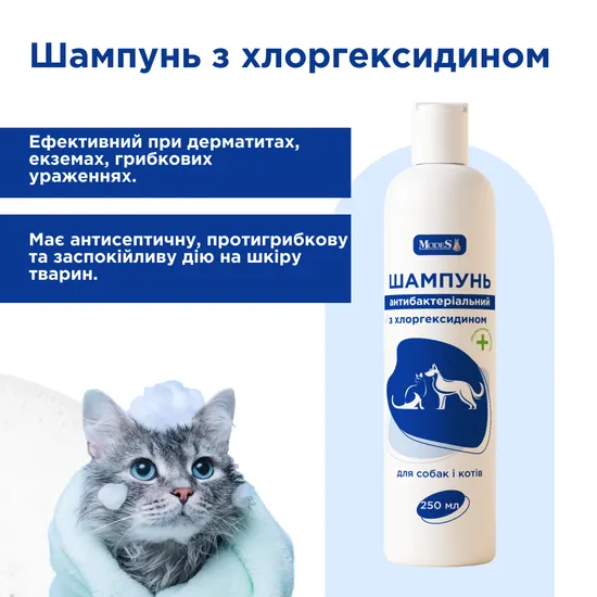 Шампунь антибактеріальний з хлоргексидином для собак і котів, 250 мл, MODES