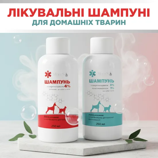 Шампунь з хлоргексидином 4% для собак та котів, 250 мл, MODES
