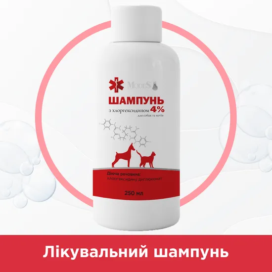 Шампунь з хлоргексидином 4% для собак та котів, 250 мл, MODES