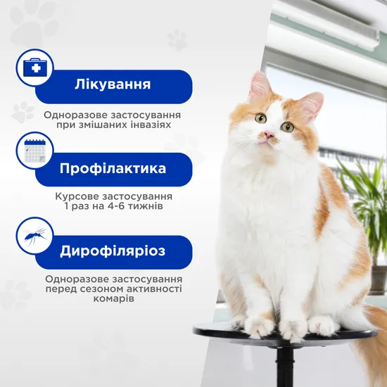 Квадромідас — C протипаразитарні таблетки для котів 0,5-2 кг, 0,2 г, MODES