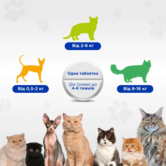 Квадромідас — C протипаразитарні таблетки для котів 2-8 кг, 0,4 г, MODES 