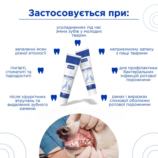 Ветсмайл (VetSmile) гель протизапальний для ясен (для собак та котів), 25 мл,MODES