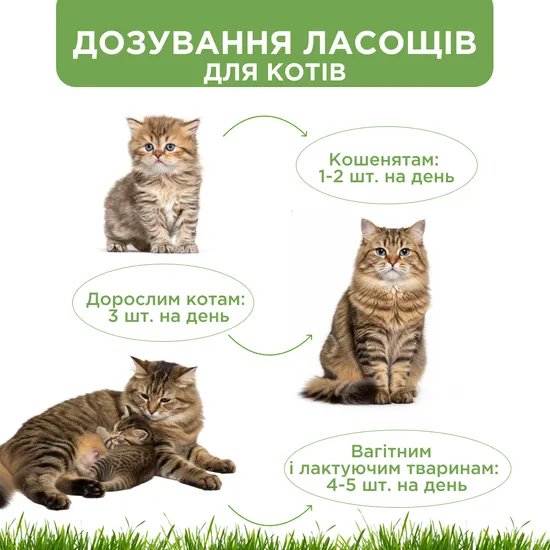 Relax Cat Заспокійливі ласощі зі смаком курки для котів, MODES