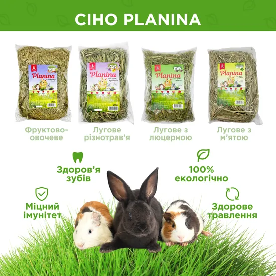 Планіна (Planina) сіно лугове з м'ятою Herbal Mint 200 г, MODES